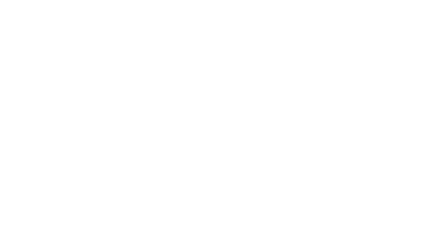 Logo Hikvision